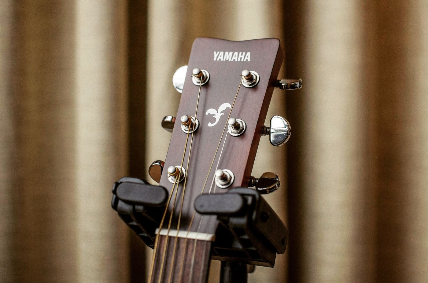 Close-up of a steel-string acoustic guitar