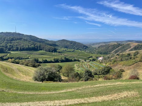 Picturesque hillscape with verdant farmlands under a clear blue sky.
