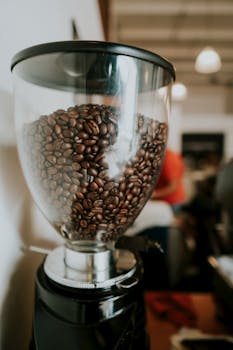 A focused shot of fresh coffee beans in a transparent grinder hopper indoors.