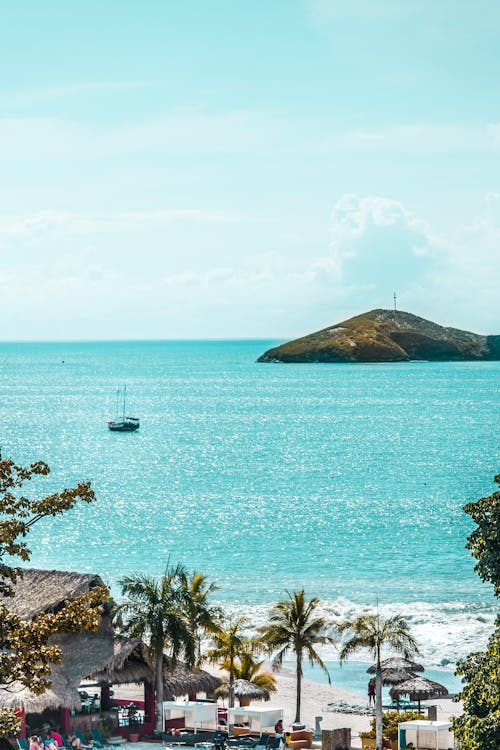 Бесплатное стоковое фото с голубое небо, курорт, пальма