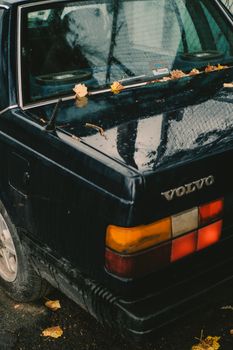 Rear view of a classic Volvo car with autumn leaves on the trunk. Perfect for seasonal automotive themes.