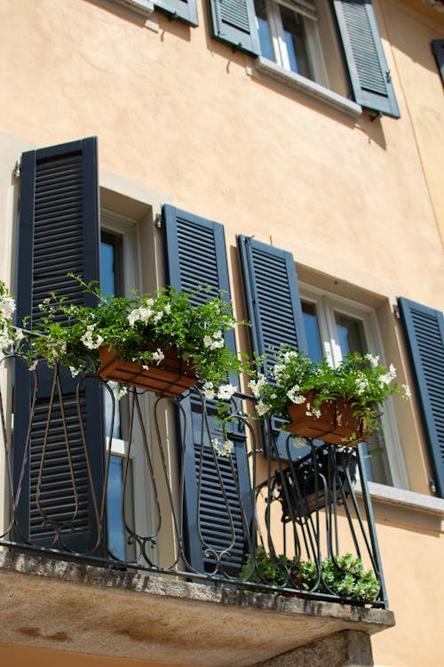 Free Blue and White Window Blinds Stock Photo