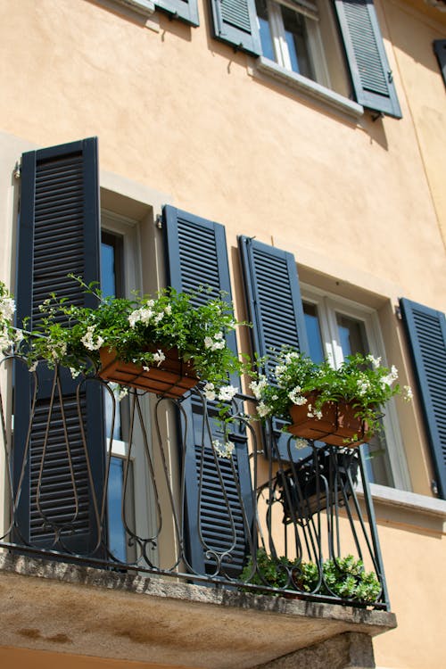 Low-Angle Shot of Potted Plants on a Balcony