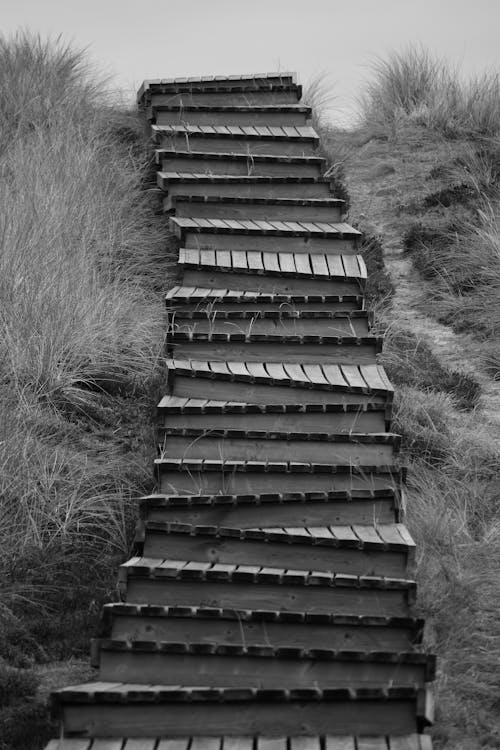 Grayscale Photo of Wooden Stairs 