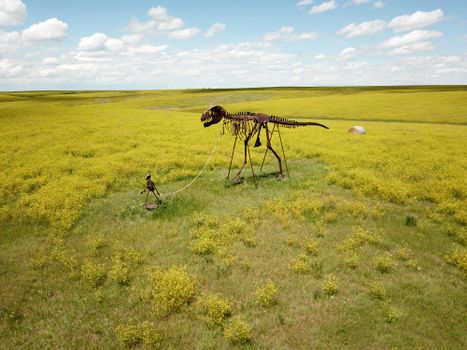 Skeleton Man Walking Skeleton Dinosaur on Green Grass Field in Midland, United States