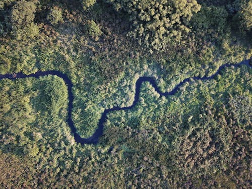 Gratis lagerfoto af droneoptagelse, flod, fugleperspektiv