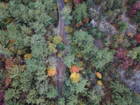 A captivating aerial view of a winding forest pathway surrounded by vibrant autumn foliage.