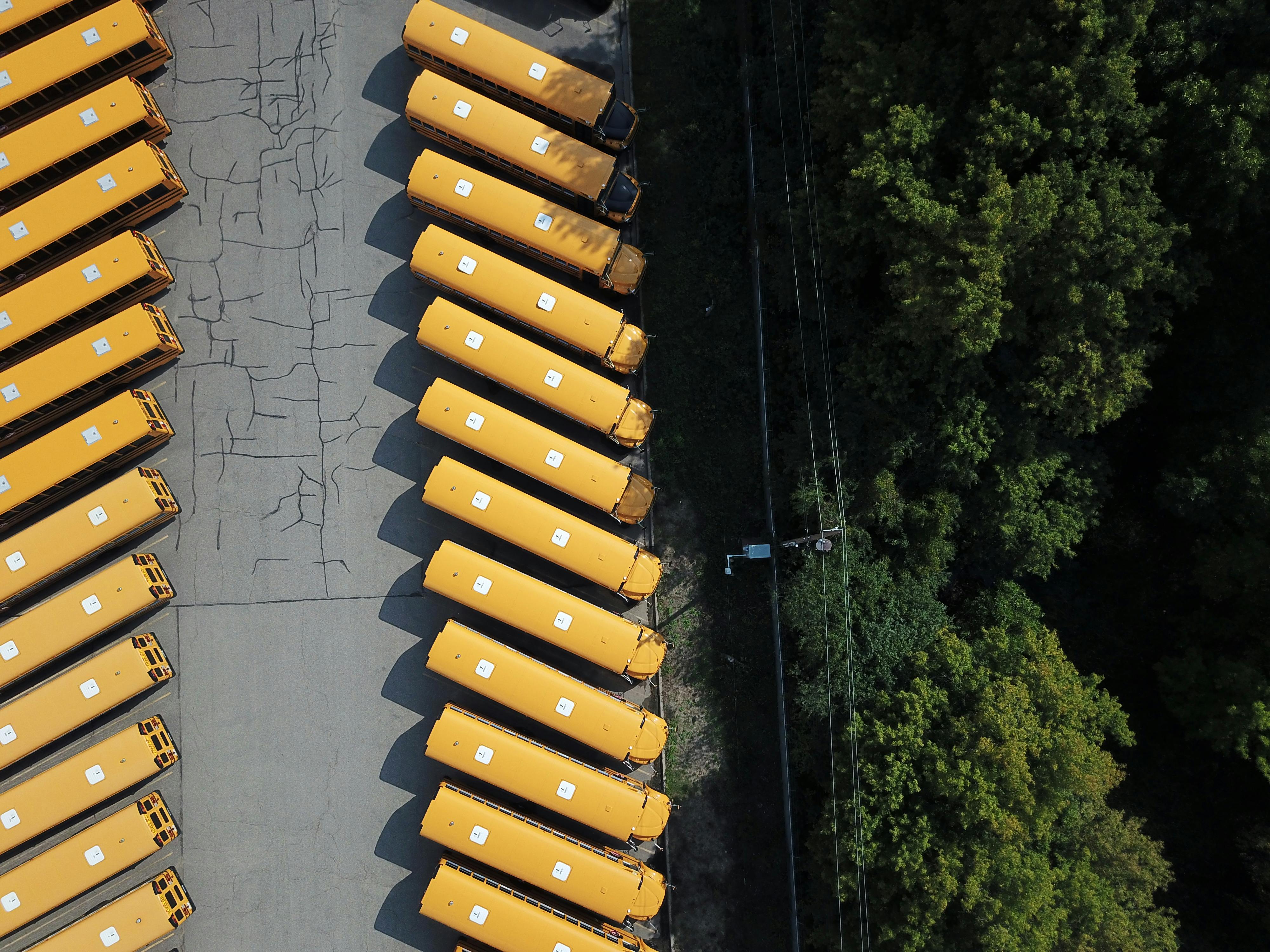 Rental Fleet Sales Slow In February Ending A Strong Streak — Photo by Bl∡ke on Pexels