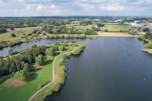 An Aerial Photography of Green Trees and River
