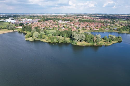 An Aerial Photography of Green Trees Near Body of Water