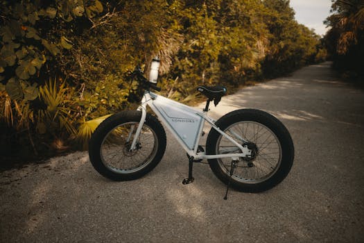 White fat tire bike parked on a scenic outdoor path surrounded by lush greenery.