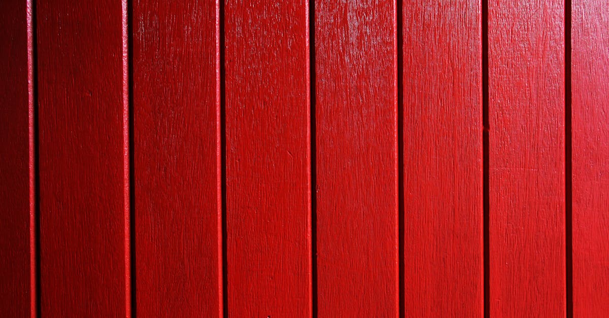 Sapin en bois : comment le choisir ?