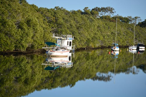 Free stock photo of boats, calm, mirror image