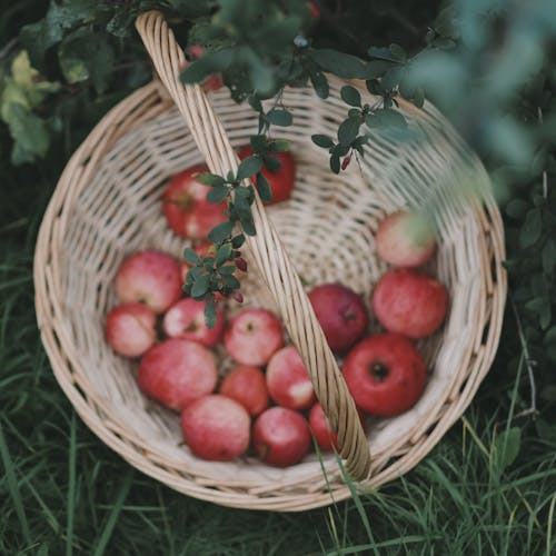 Close-Up Shot of Apples in a Basket