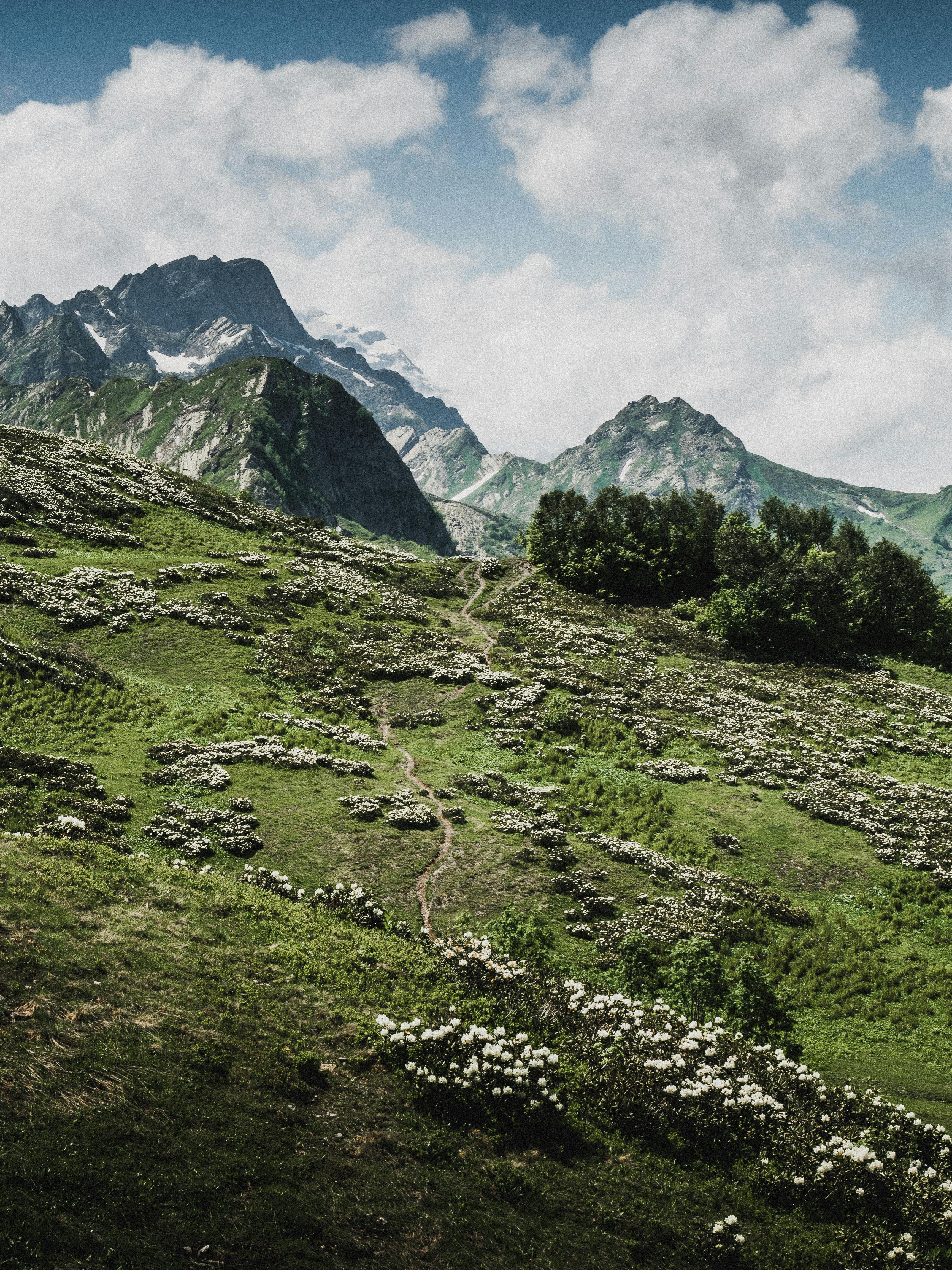 Majestic view of snow-capped mountains and lush green slopes in a serene alpine landscape.