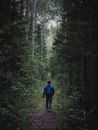 Man in Blue Jacket Walking on Forest