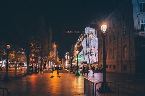 Free stock photo of back light, city street, france