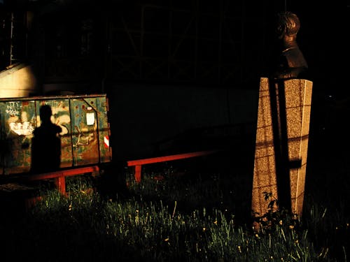 Bust of Man Beside Panels