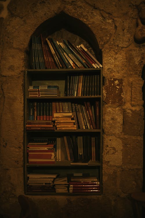 Free Photo of Books on Shelves Stock Photo