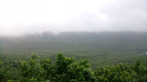 Free stock photo of dark green, green, green mountains Stock Photo