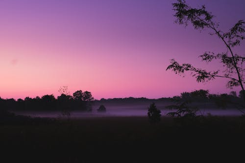 Free stock photo of early sunrise, fog, foggy