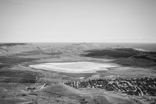 Free stock photo of barren, barrne, black and white