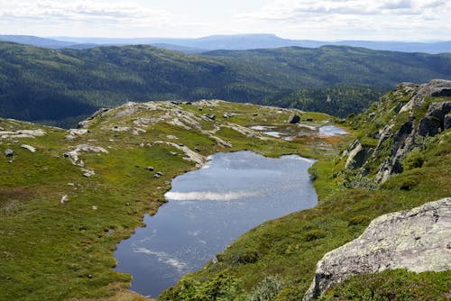 Kostnadsfri bild av bergen, fjord, gräs