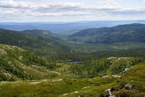 Free Scenic view of a lush green valley surrounded by mountains under a clear sky, perfect for nature lovers. Stock Photo