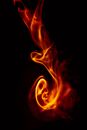 Orange and Yellow Fire Illustration