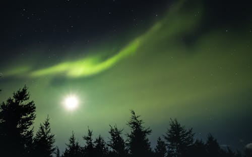 Imagine de stoc gratuită din aurora, aurora boreală, cer