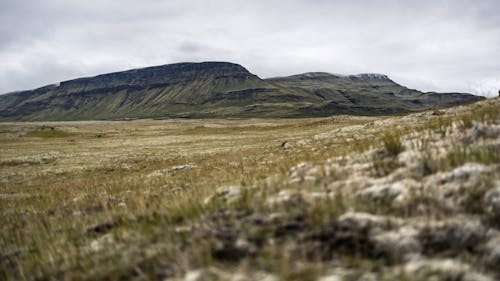 Imagine de stoc gratuită din câmp, islanda, munte