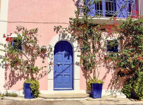 Free Potted Plants outside a House with Blue Door Stock Photo