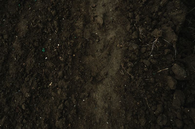 rich brown soil