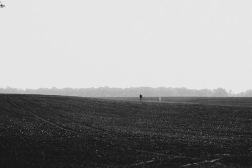Free Black and White Photo of Person Walking through Empty Field Stock Photo