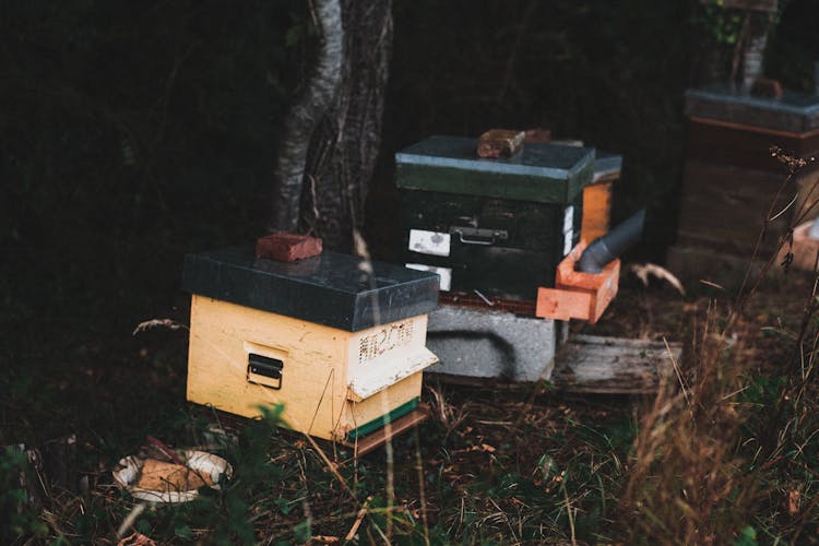 Night Photo Of Boxes With Lids On A Grass