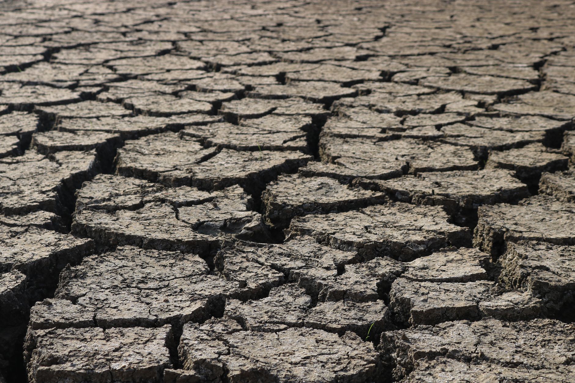 A new global hunger report said war, drought, and aid shortfalls will worsen food insecurity in 2026