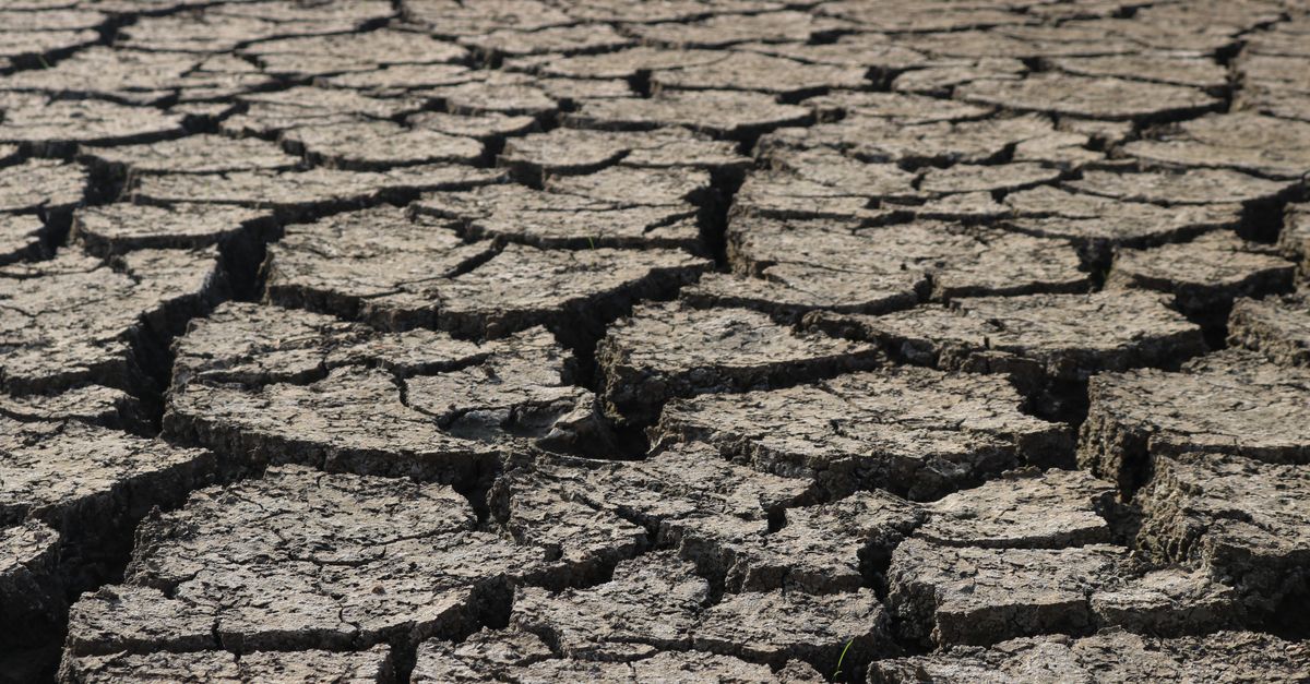 Tripura's Water Scarcity: Understanding and Addressing Water Stress in Agartala and Border Districts