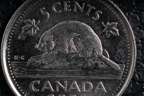 Free stock photo of bank note, canada, coin