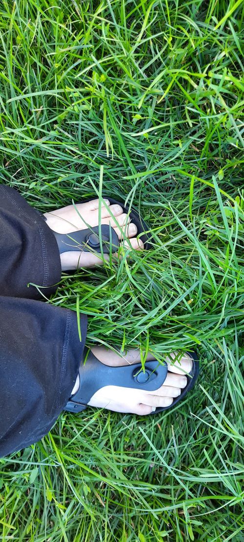 Free stock photo of feet, grass Stock Photo