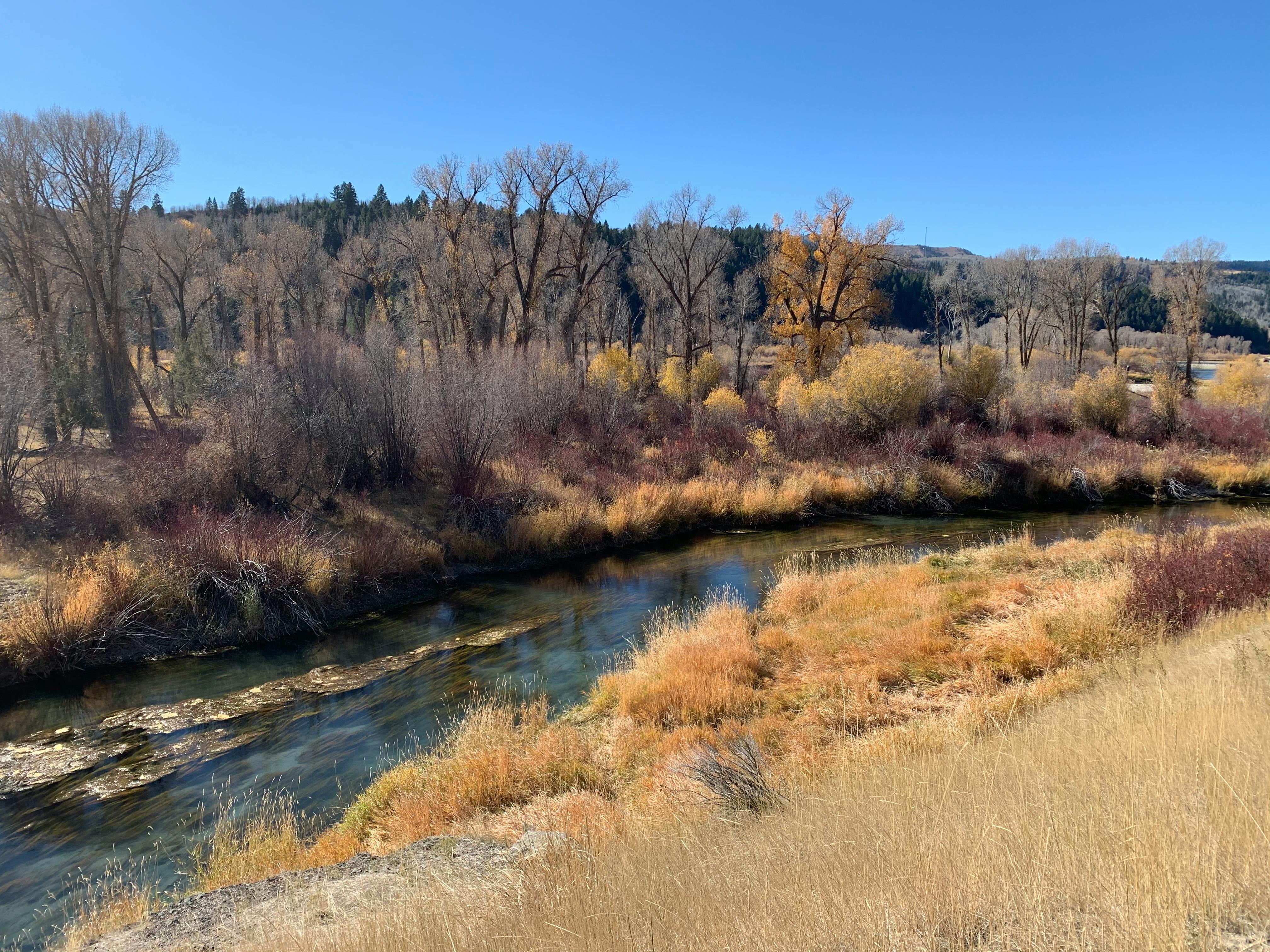 Wyoming Chamber, local chambers once again hosting statewide civics competition — Photo by Ayan Biswas on Pexels