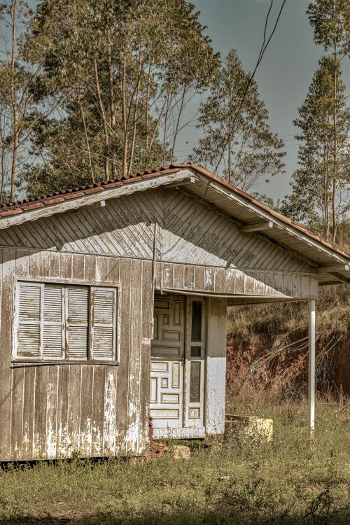 Free An old, decaying wooden house in a rustic, rural area with overgrown grass. Stock Photo