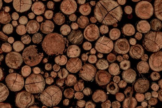 Stack of Woods in Close-up Shot