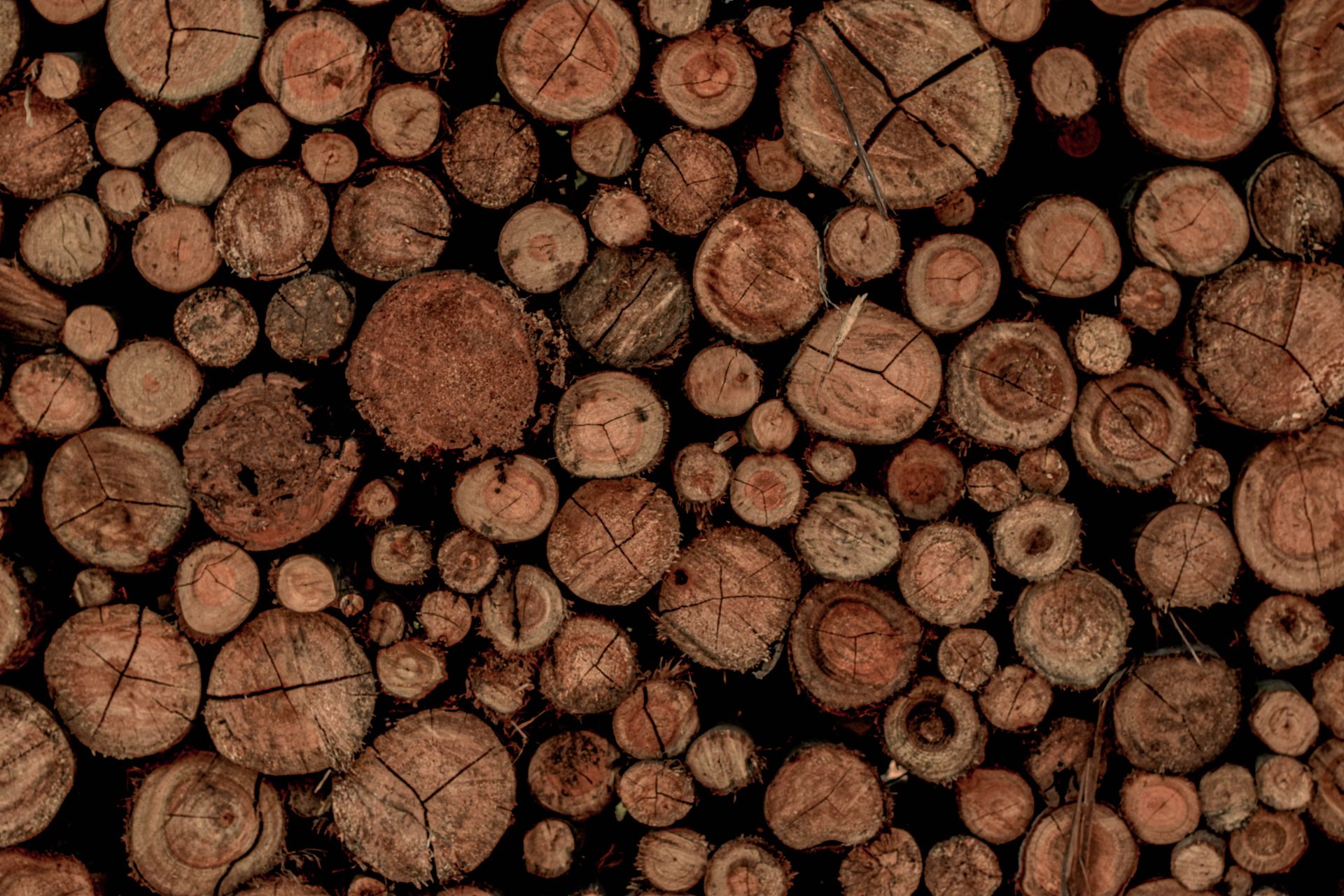 Detailed view of stacked wooden logs showing texture and patterns, South Brazil.