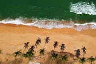 马来西亚登嘉楼一处阳光明媚的海滩上空，拍摄到棕榈树的阴影与海浪的撞击