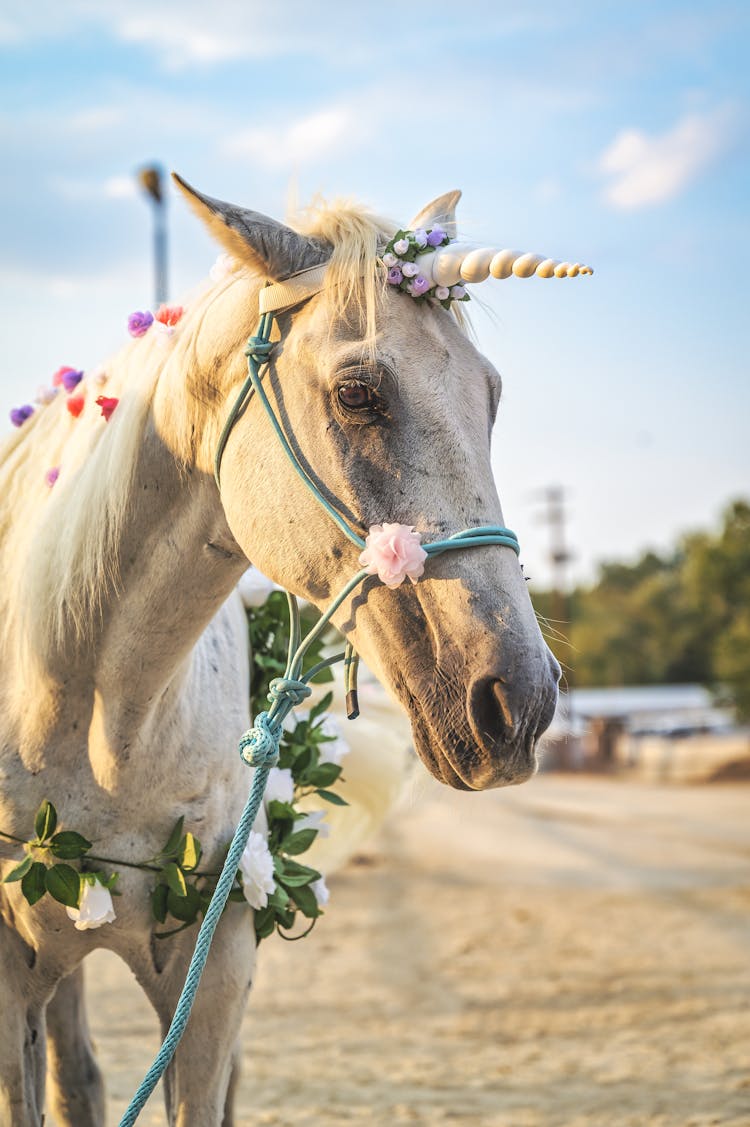 A White Horse Dressed With Flowers