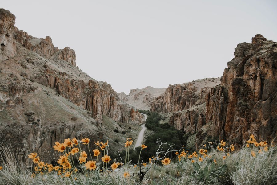Rocky formations above a field of yellow wildflowers, photo by Jenny Uhling on Pexels