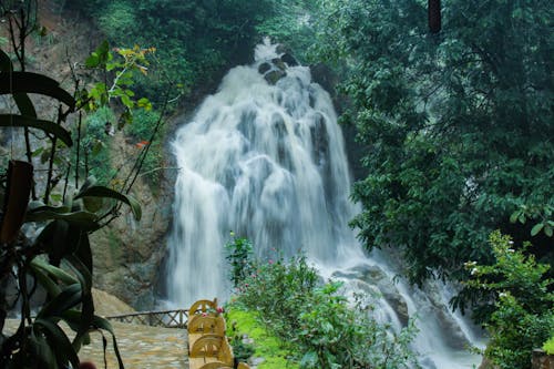 Free stock photo of forest, waterfall