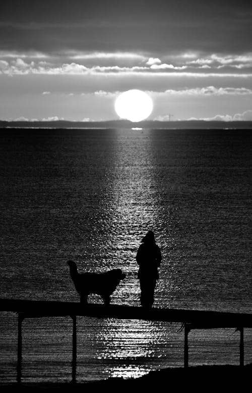 A Grayscale Silhouette of a Person and a Dog Near the Sea