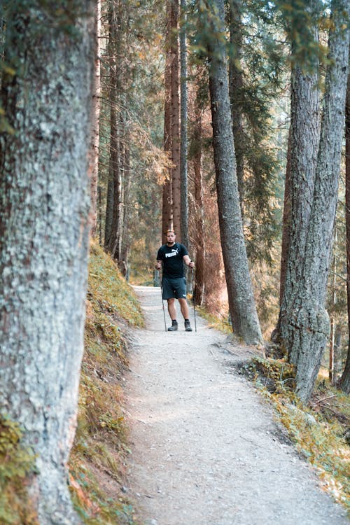 Man in Black Crew Neck Shirt Standing on Pathway Between Trees