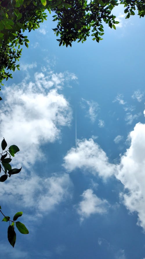 Low-Angle Shot of White Clouds in the Blue Sky